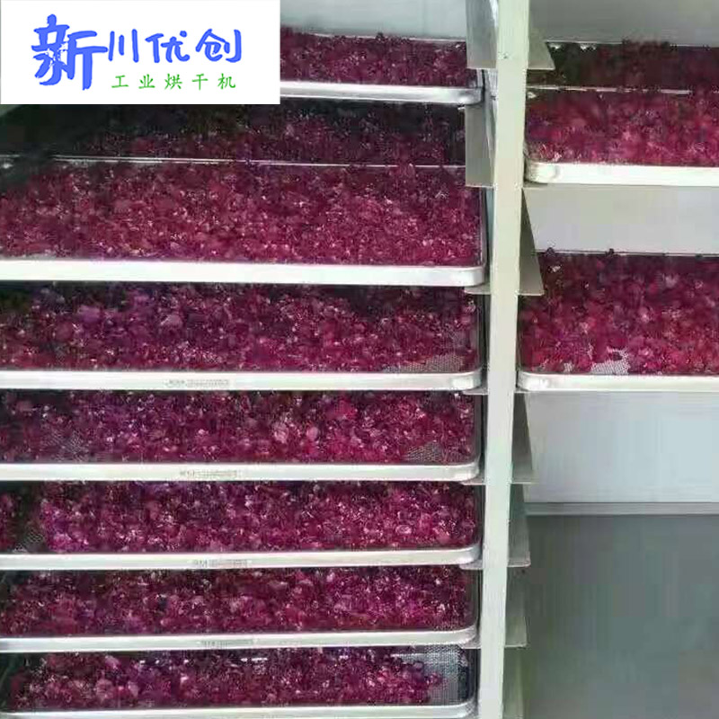 生物质能源-果蔬花朵烘干房