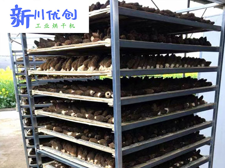 燃气热风-菌菇烘干房