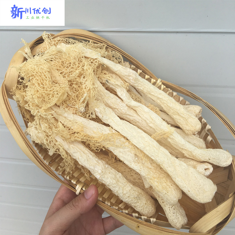 竹荪蔬菜烘干房