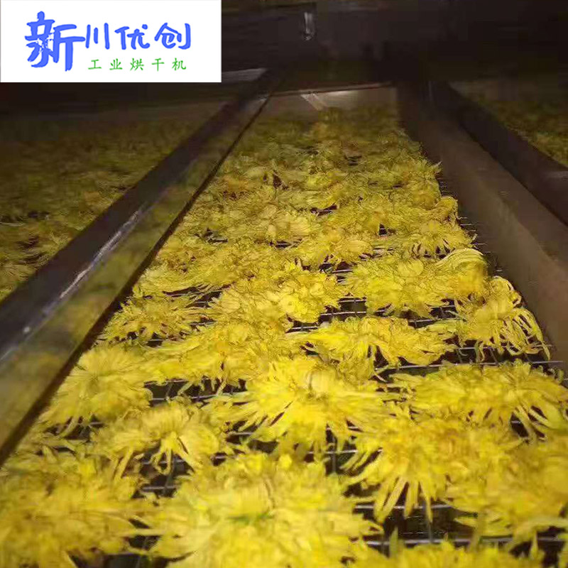 热风烘箱-金丝皇菊烘干箱