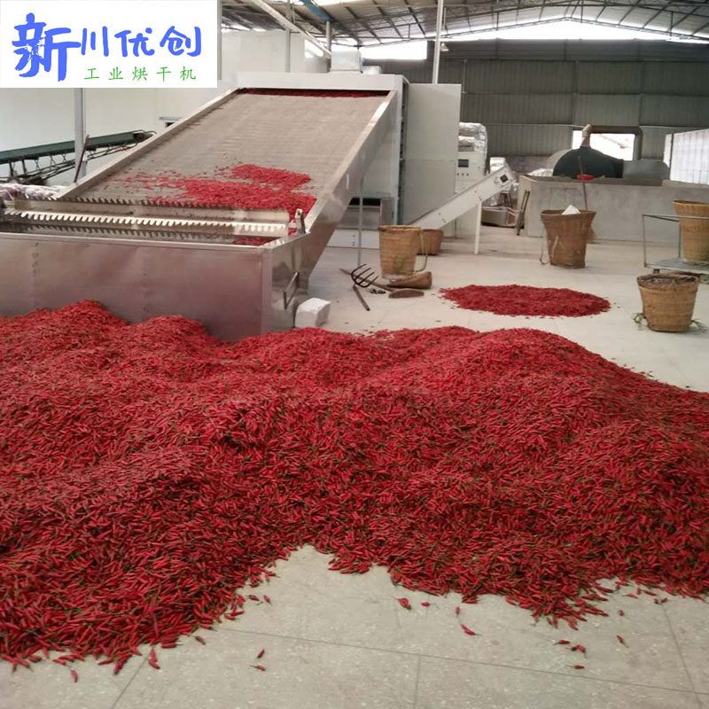 61d3ab2831975.jpg 网带式3.jpg