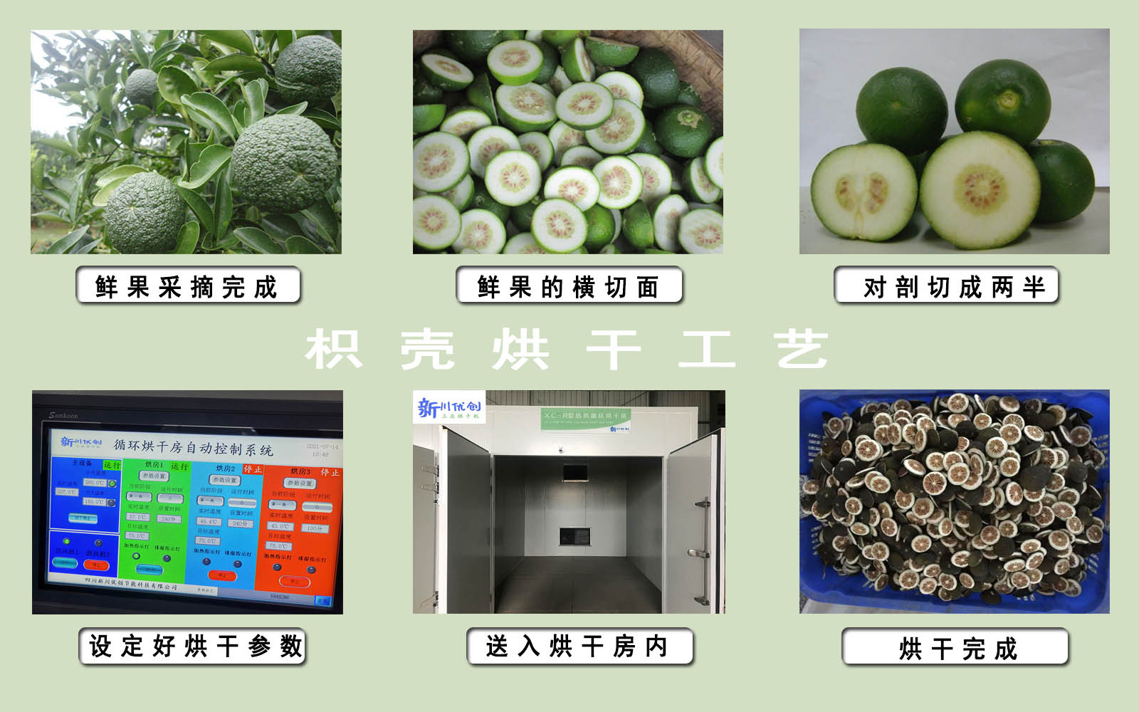 6212f6124ff4c.jpg 枳壳1.jpg