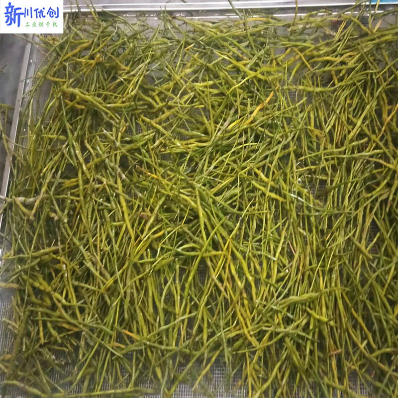 石斛-烘干工艺