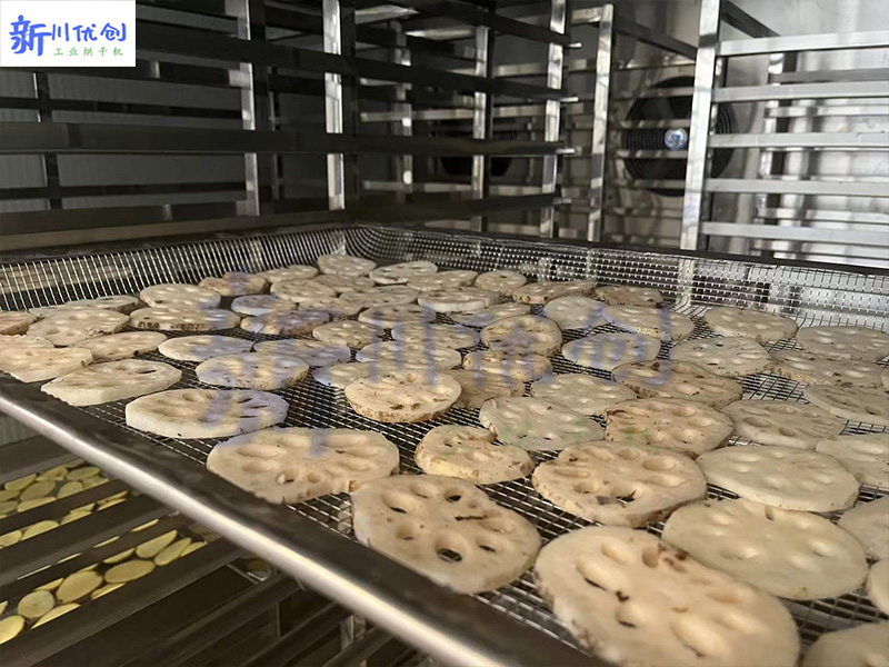 62739123583d1.jpg 蔬菜烘干机.jpg