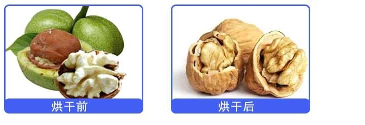 核桃烘干对比.jpg
