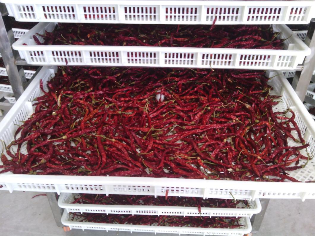 62e9da8c624ad.jpg 微信截图_20220606113604.jpg