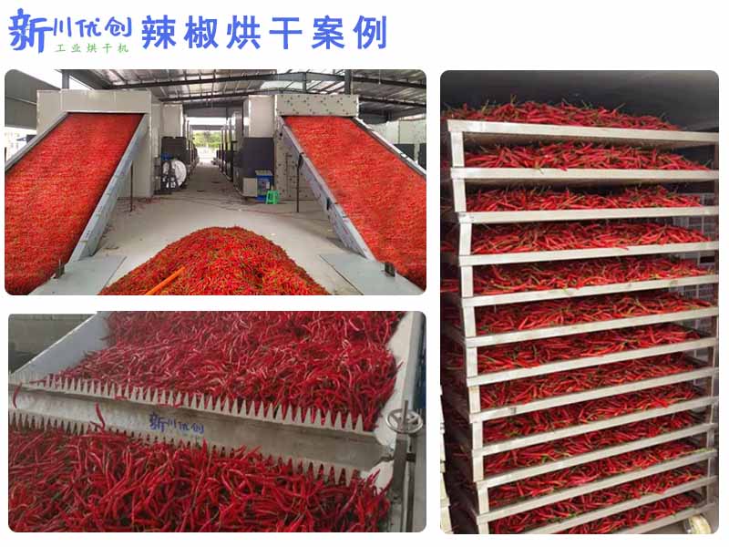 62f0add493a48.jpg 辣椒烘干案例1.jpg