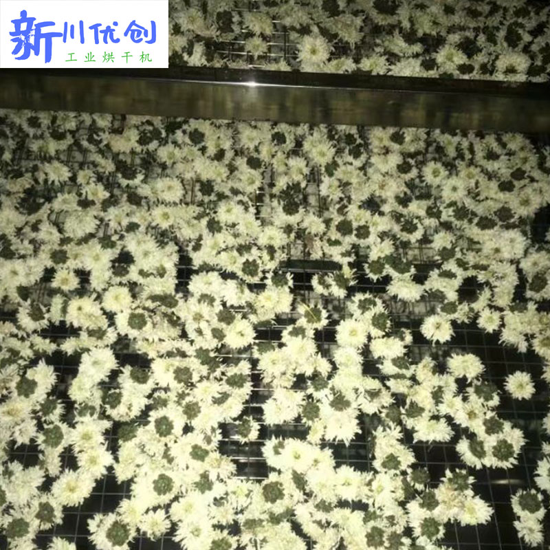 634f65ae4c261.jpg 菊花5.jpg