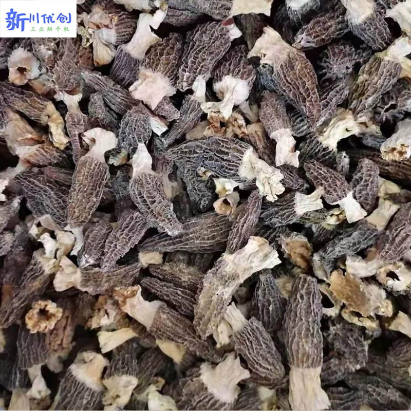 羊肚菌-烘干工艺
