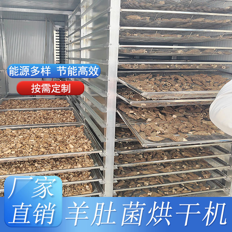 羊肚菌专用烘干房
