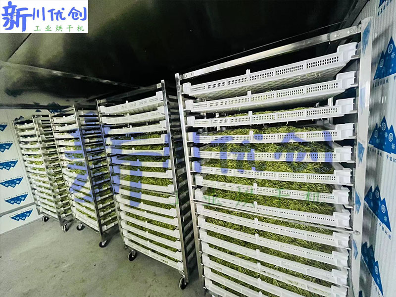 金银花4.jpg
